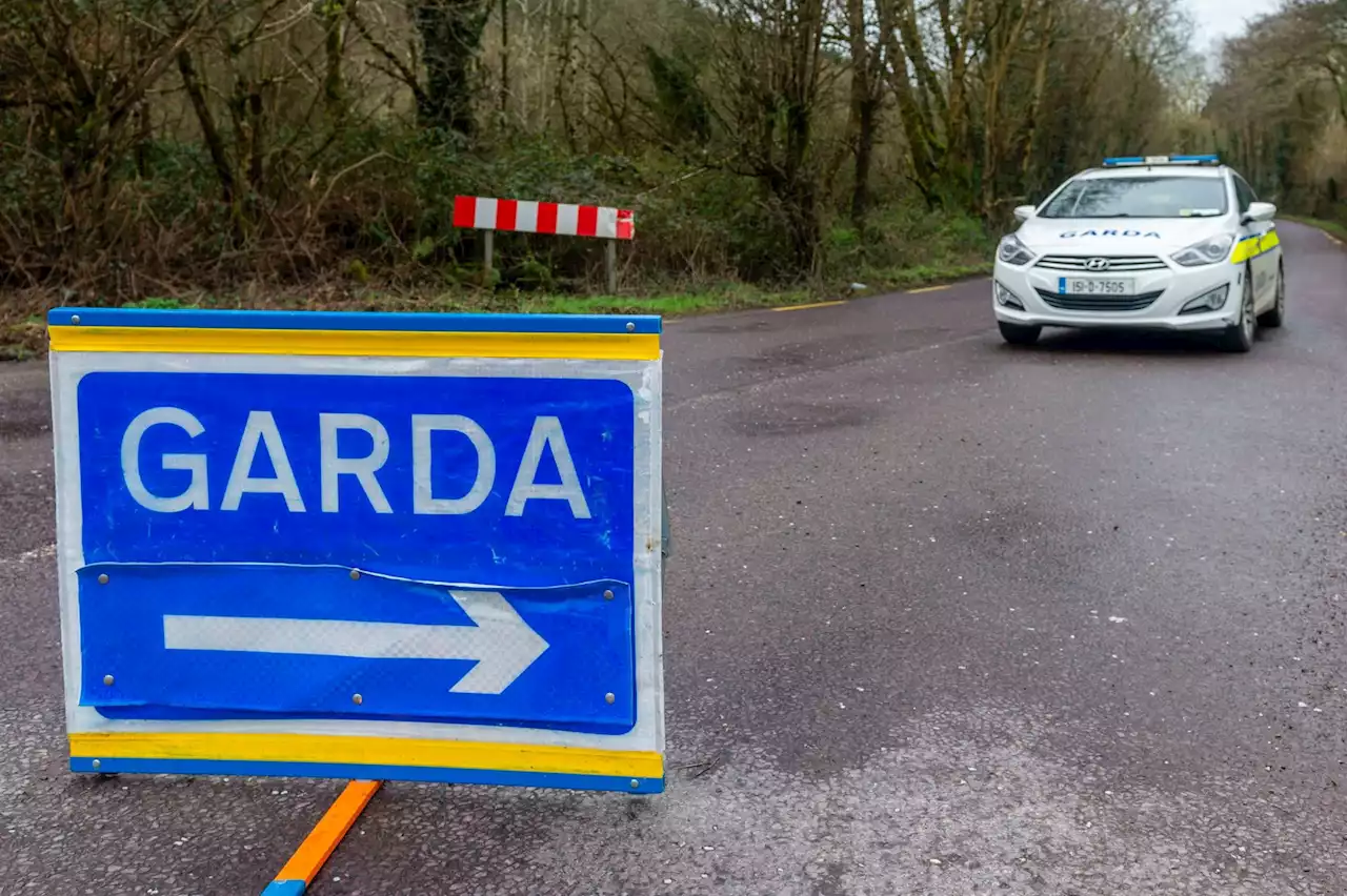 Pedestrian dies following road collision in Offaly