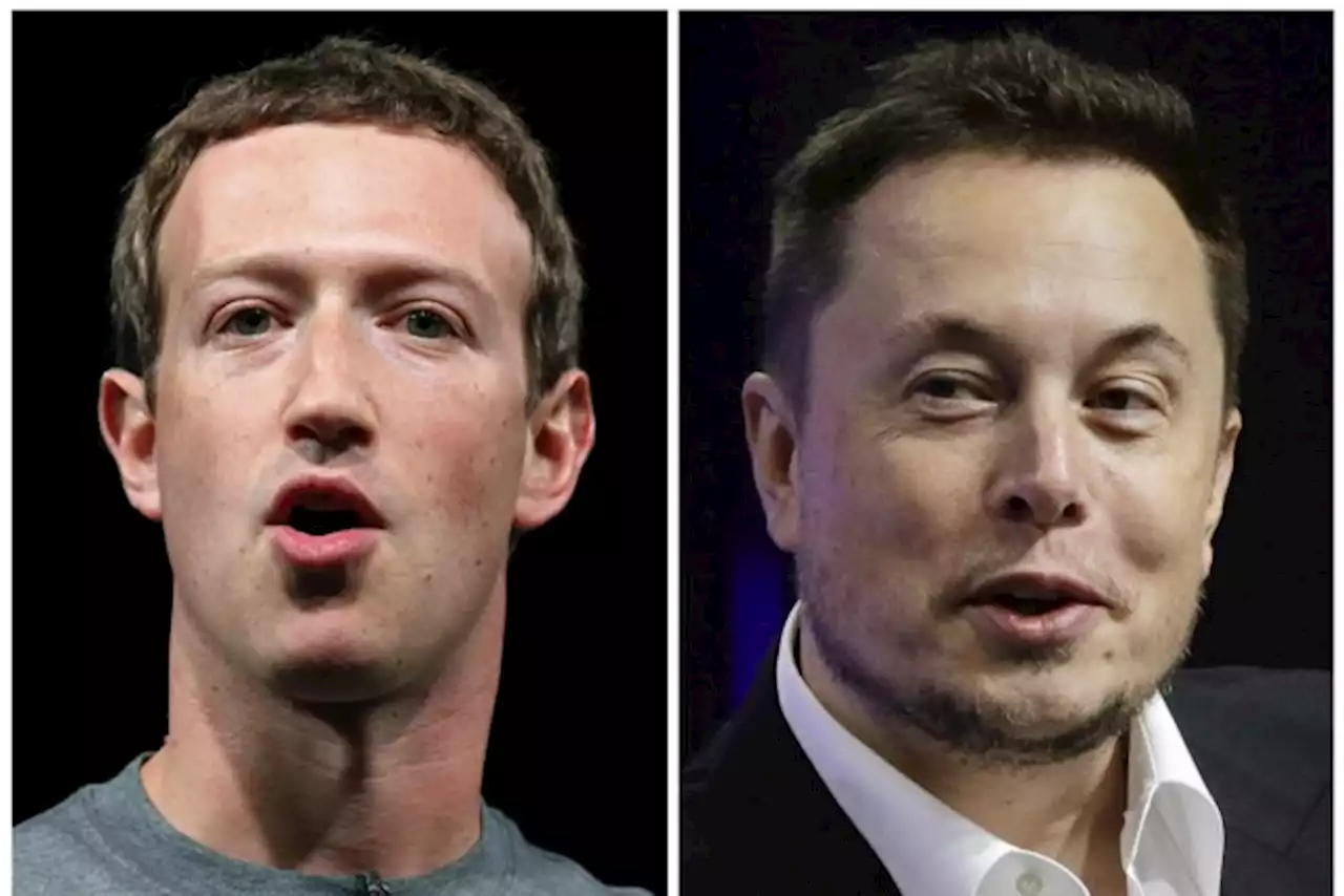 Mark Zuckerberg: “Nog geen akkoord over datum gevecht met Elon Musk”