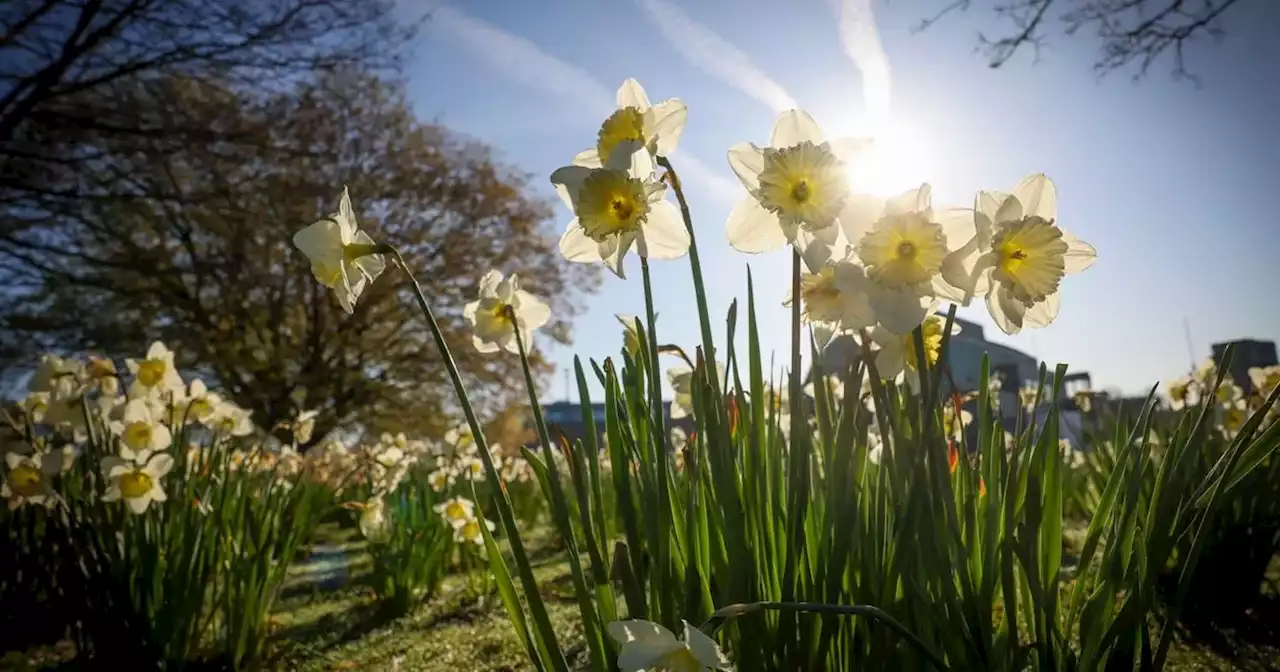 Met Office verdict for Nottingham as 30C blast predicted for UK