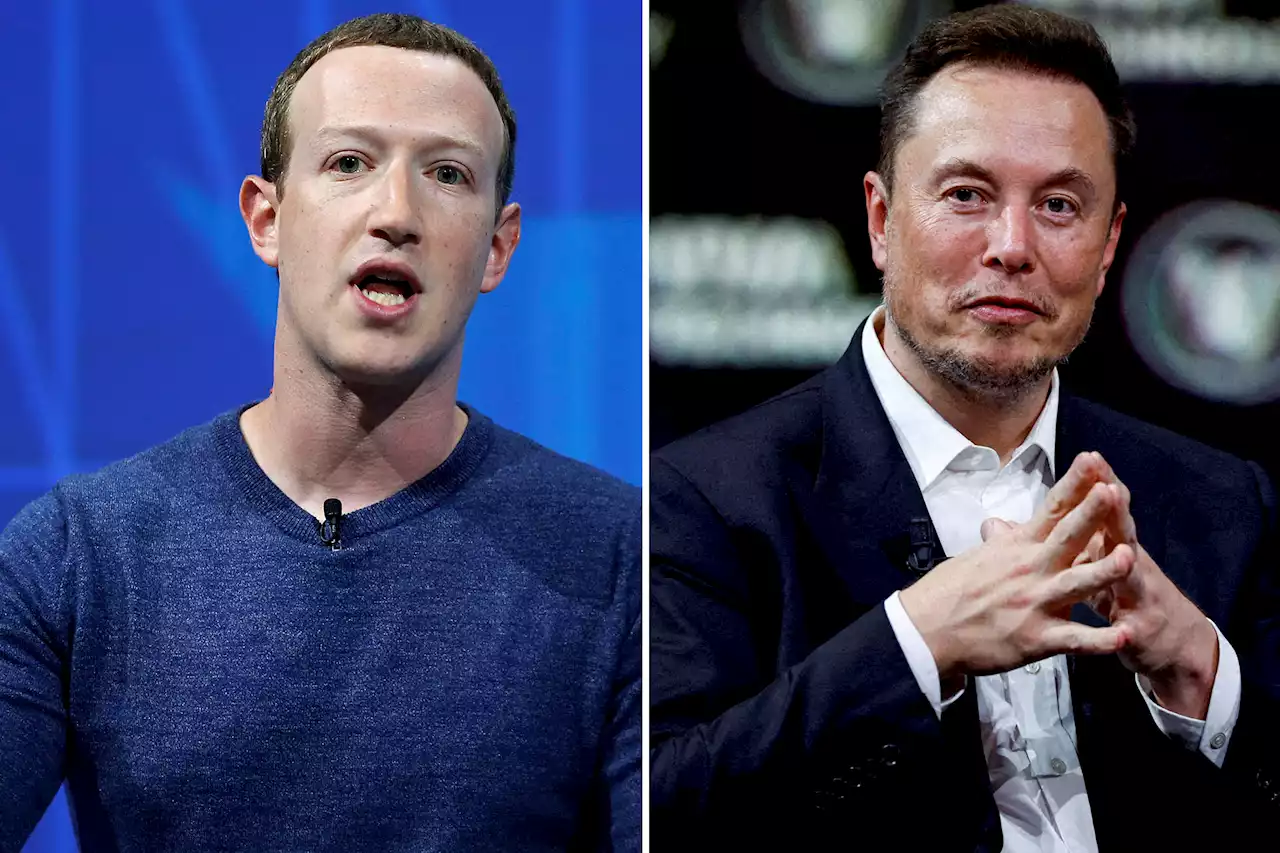 Mark Zuckerberg says he is ‘ready to fight’ Elon Musk