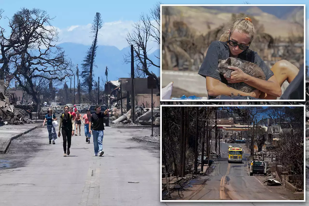 ‘Near-riot’ in fire-ravaged Lahaina, Maui, as 100 drivers clash with cops