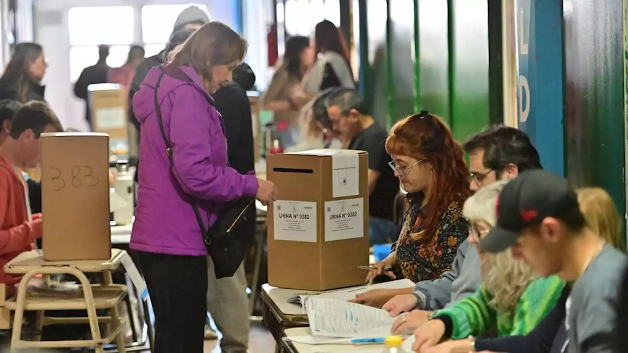 PASO 2023: Cuál es la mejor hora para ir a votar en las elecciones 2023 | Elecciones Argentina 2023