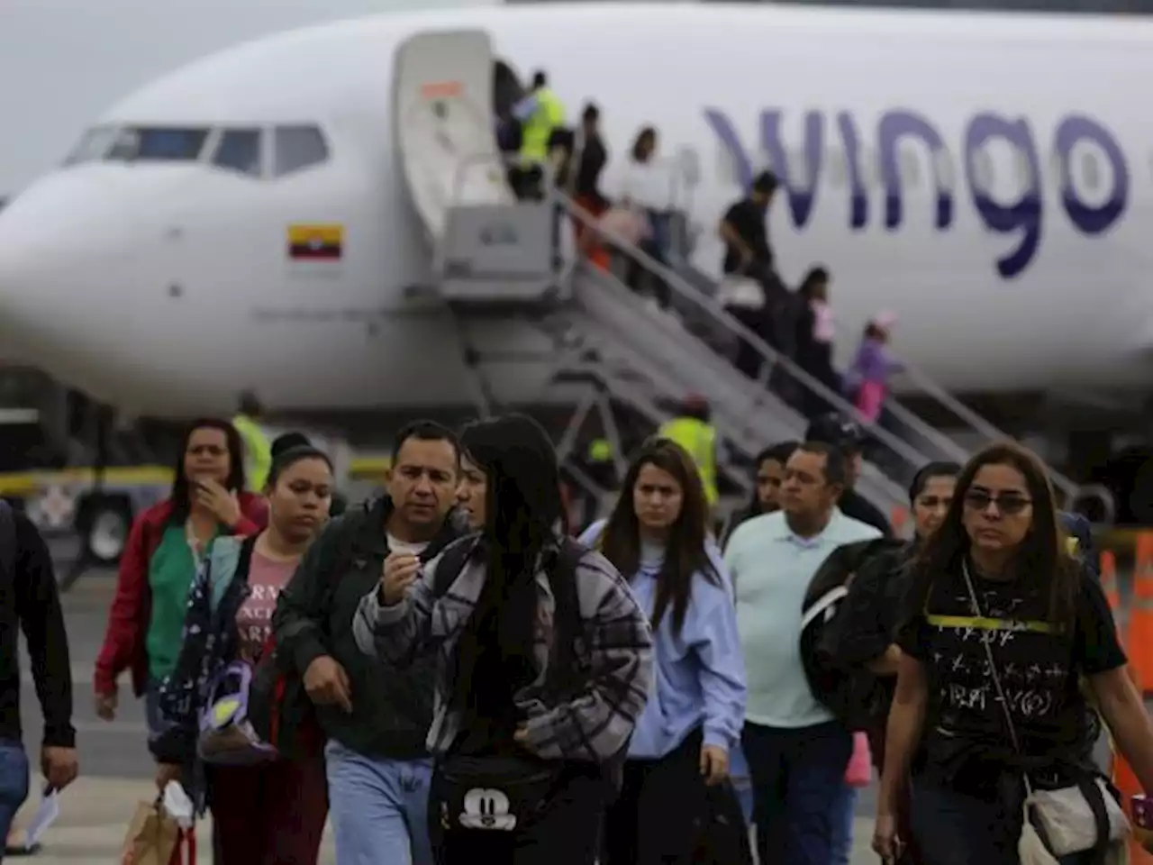 Wingo aumenta sus operaciones aéreas entre Colombia y Venezuela