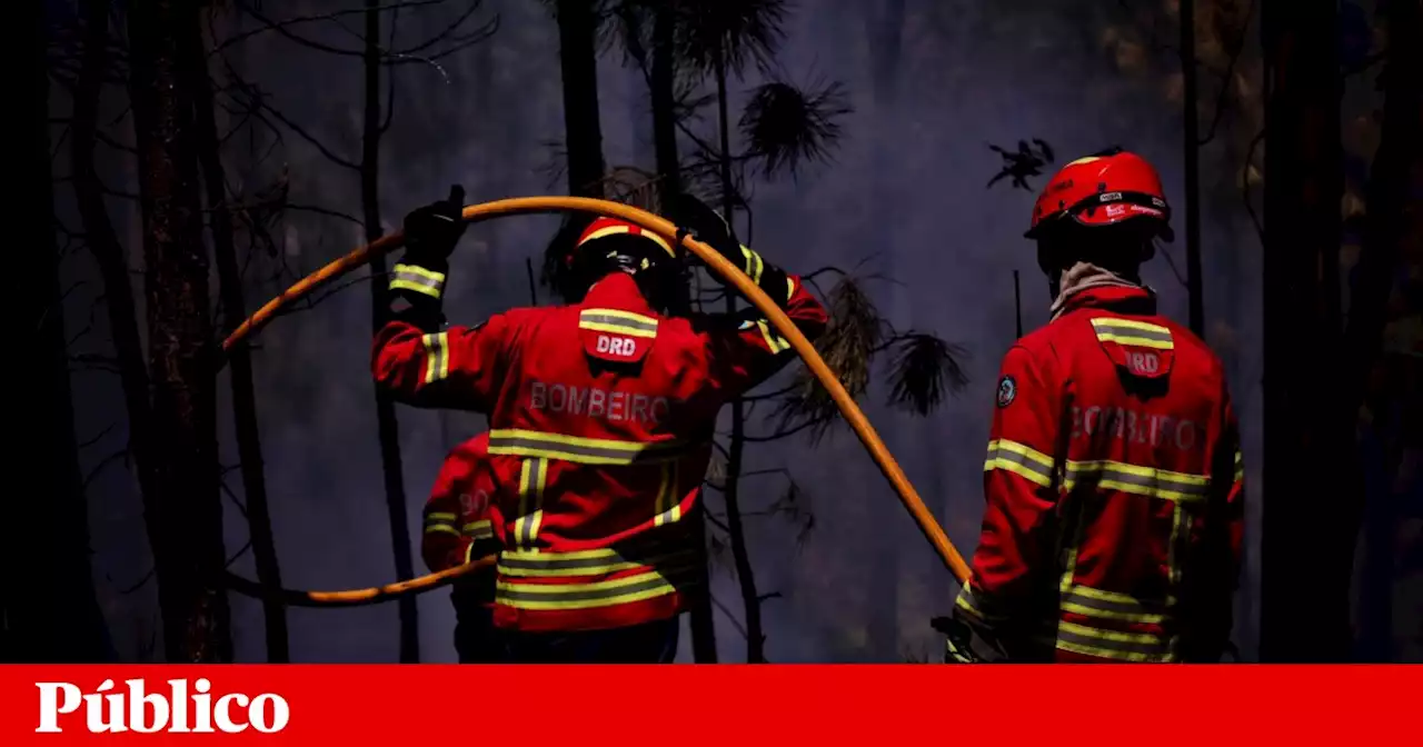 Incêndio em Anadia mobiliza mais de 100 de operacionais, mas está “praticamente dominado”