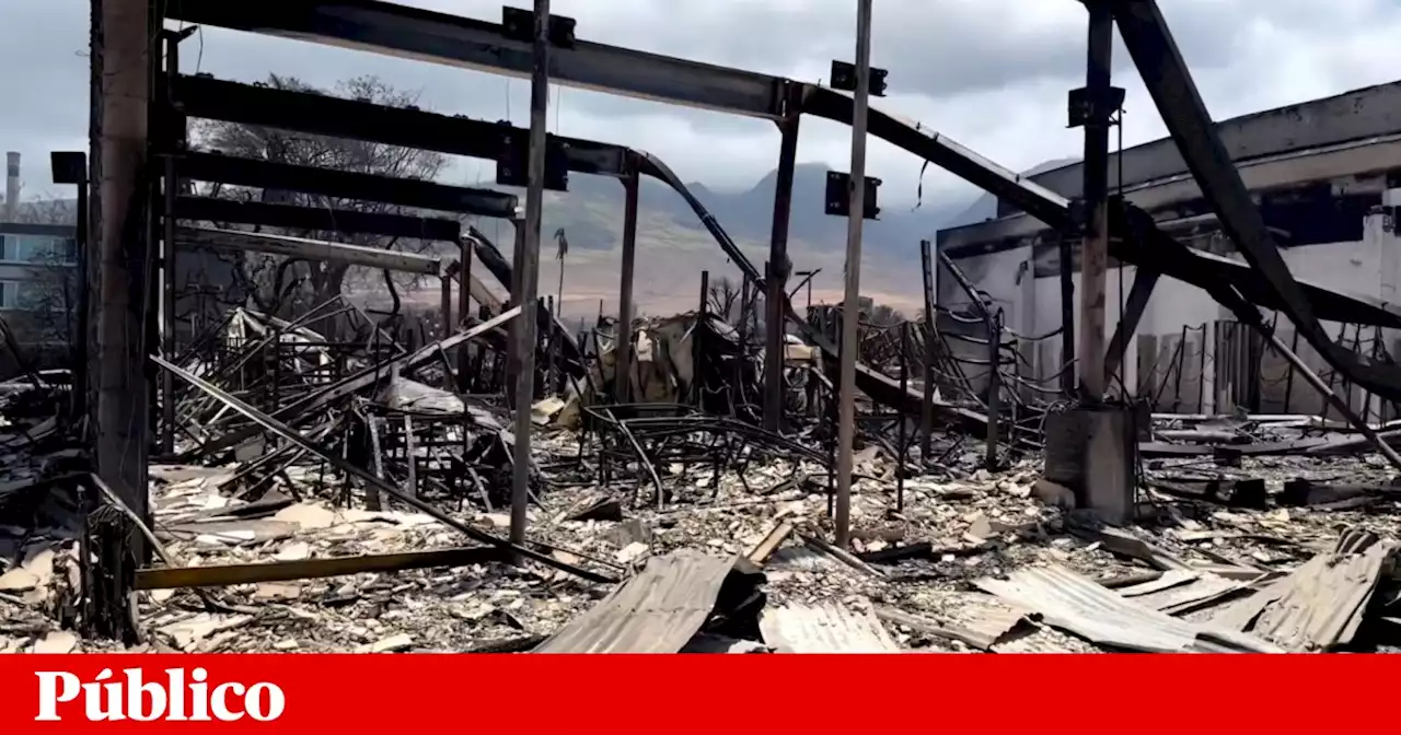 Incêndios florestais no Havai já fizeram 67 mortos