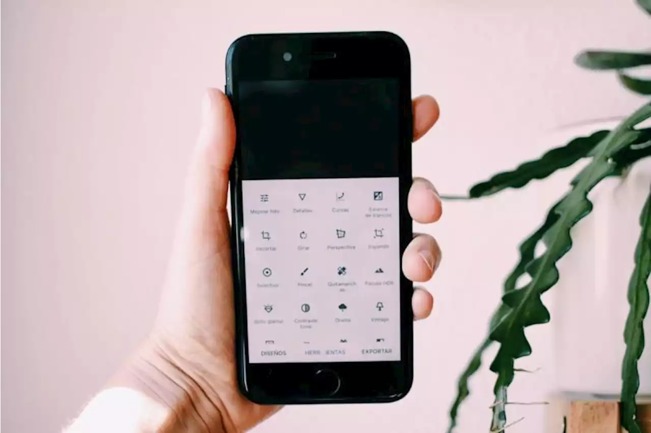 Deslumbre a sus seguidores en redes sociales con estas 5 aplicaciones para editar fotos - Pulzo