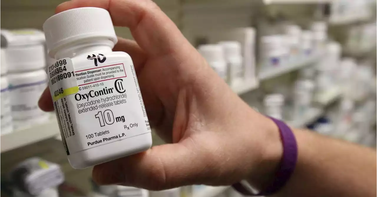 US Supreme Court halts Purdue Pharma bankruptcy settlement pending review