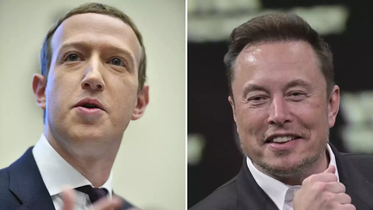 Aucune date n'a encore été arrêtée pour le combat qui doit opposer Zuckerberg à Musk - rtbf.be