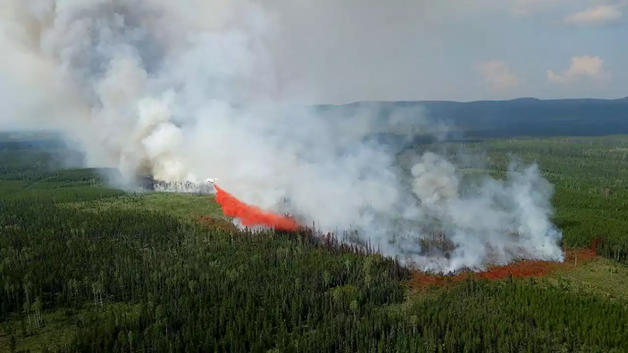 Une catastrophe aussi environnementale: les 'mégafeux de forêts' ont émis plus d'un milliard de tonnes de CO2