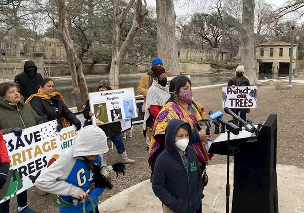 Federal suit seeks to block San Antonio's tree-cutting plan at Brackenridge Park