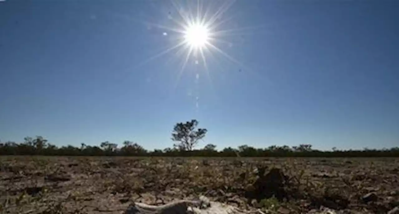 How El Nino could impact health, food and the economy