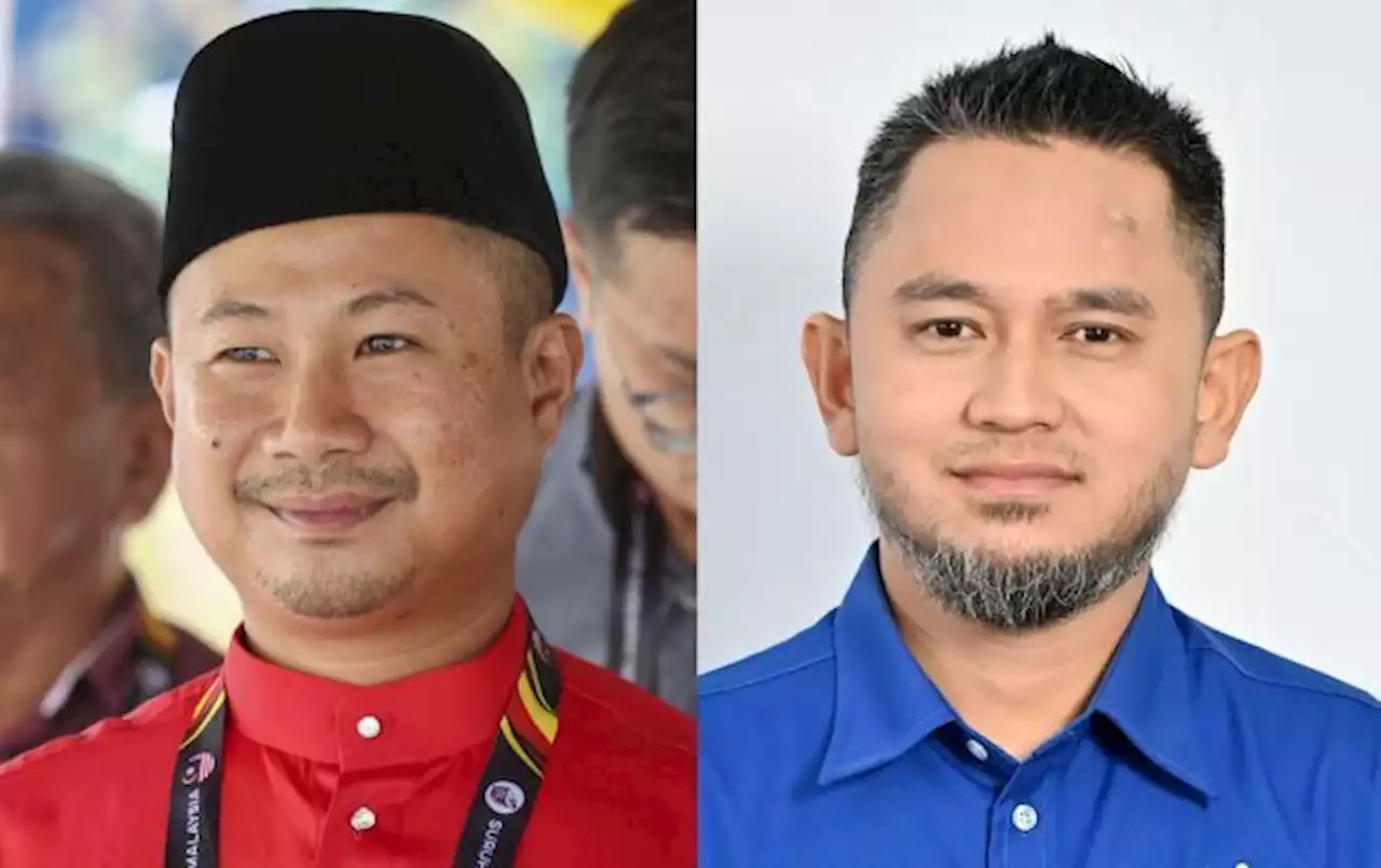 State polls: Sons of two former Negri Sembilan Mentri Besar fall in state polls