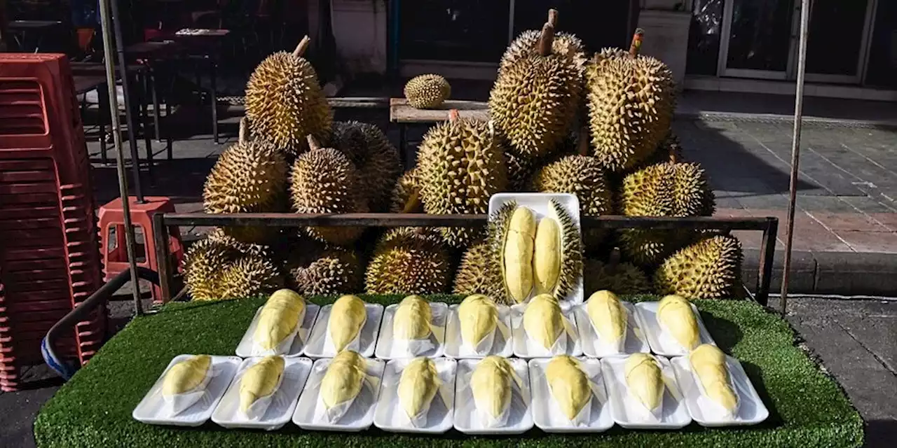 Hype um Durian-Frucht in China: Von wegen Kotzfrucht