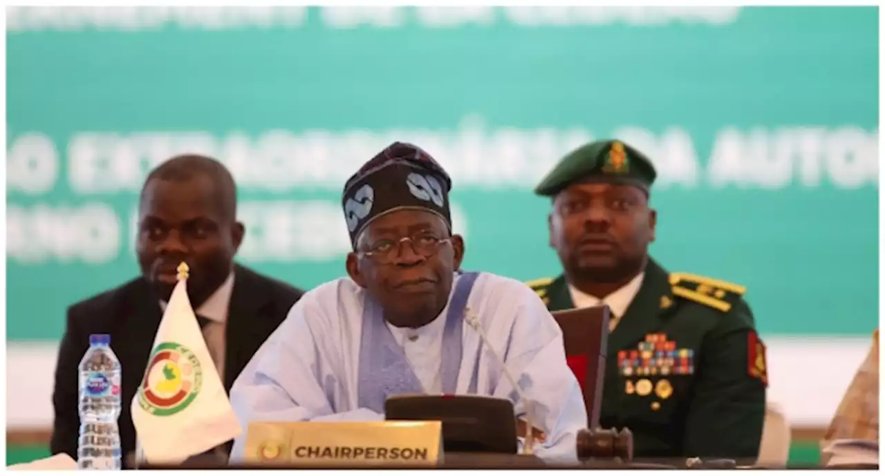 'It'll affect Nigeria's unity' -- group advises Tinubu against military action in Niger | TheCable