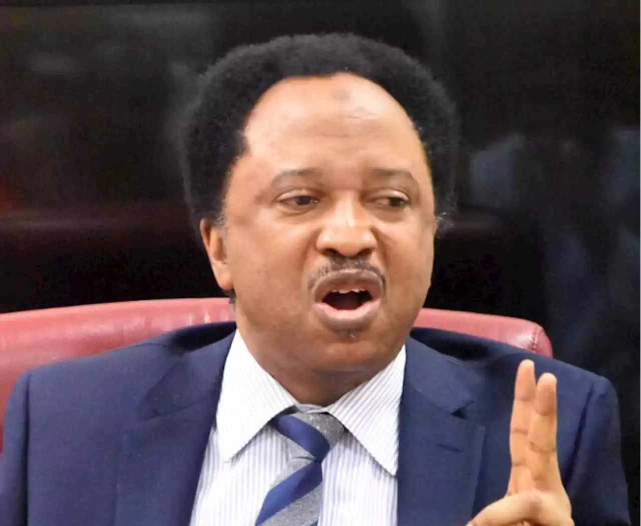 Nigeria shouldn't interfere in Niger's internal affairs, Shehu Sani warns | TheCable