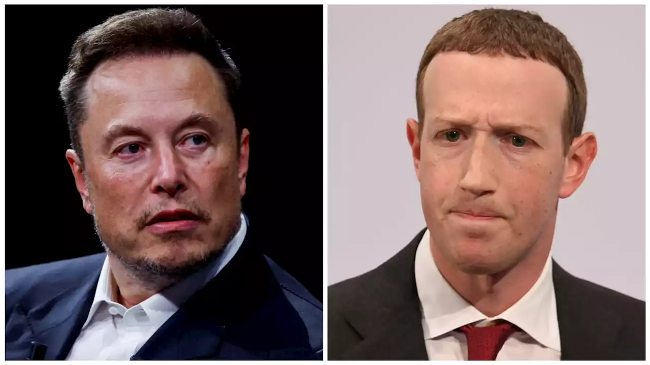 Musk Announces Cage Fight Details—but Zuckerberg Calls BS