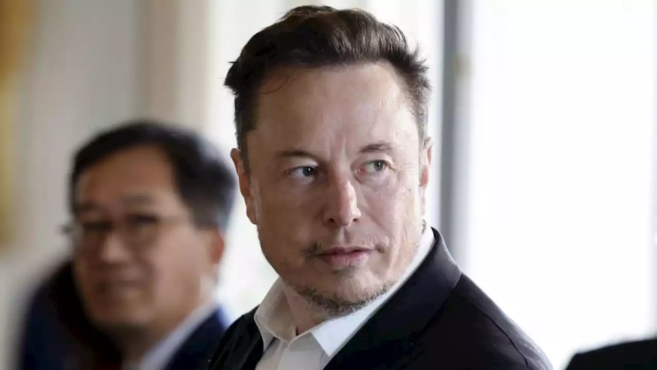 Musk says cage fight with Zuckerberg will be in Italy