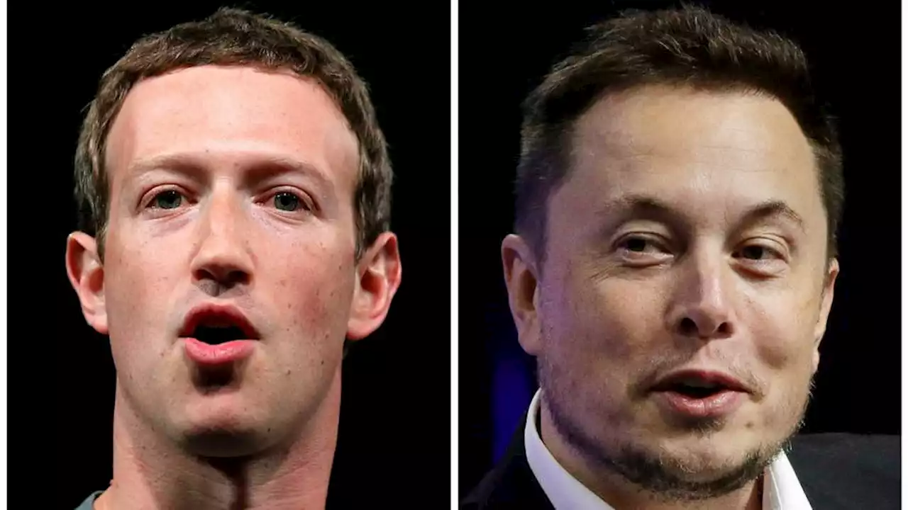 Elon Musk says upcoming cage fight with Mark Zuckerberg will be in Italy