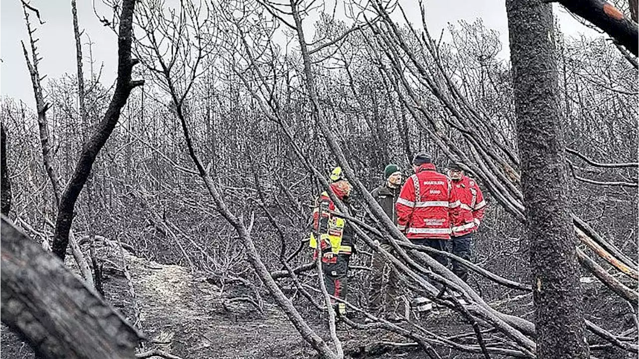 Brandmænd efterslukker i Thy: Drone skal finde de sidste hotspots