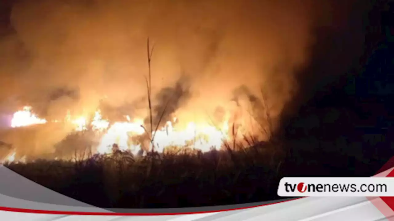 Kebakaran Hebat Hanguskan 1,5 Hektare Lahan di Kelurahan Harjosari Terbing Karimun