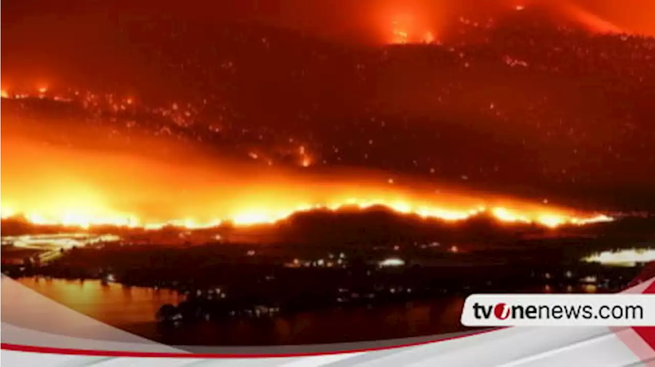 Sebanyak 13,4 Hektare Lahan Hangus, Kanada Catat Rekor Musim Kebakaran Hutan Terburuk