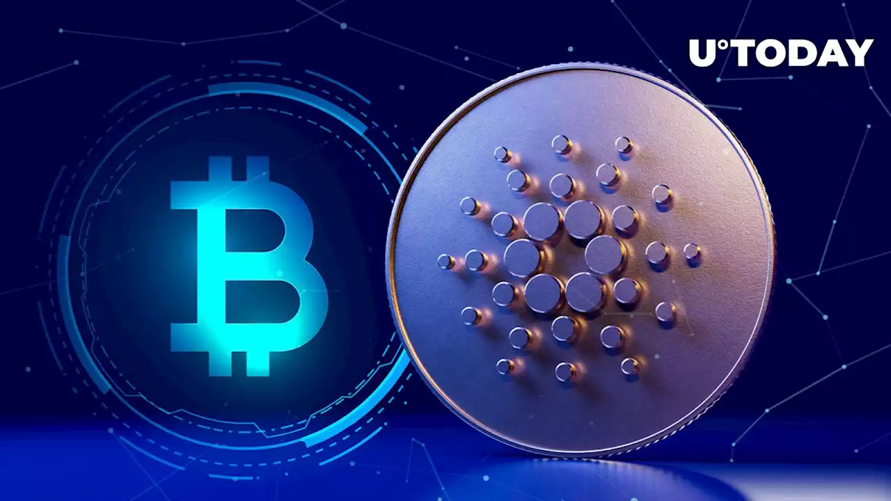 Cardano Successfully Mints BTC as Big Phase Unveils for Network