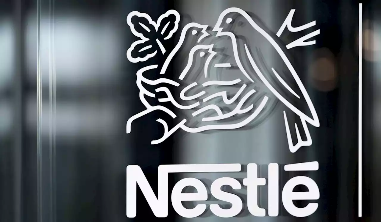 Nestle is recalling break-and-bake cookie dough bars due to possible presence of wood