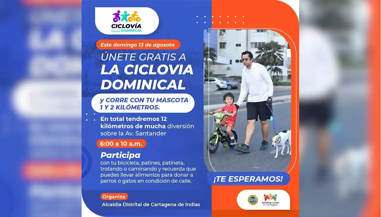 “Corre con tu mascota”, en apoyo a caninos y felinos en condición de calle en Cartagena