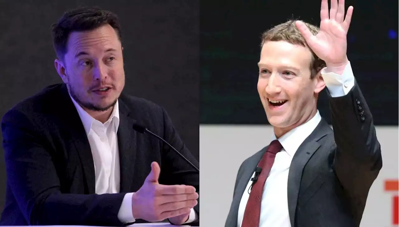 Elon Musk y Mark Zuckerberg ya tendrían lugar definido para su 'pelea'