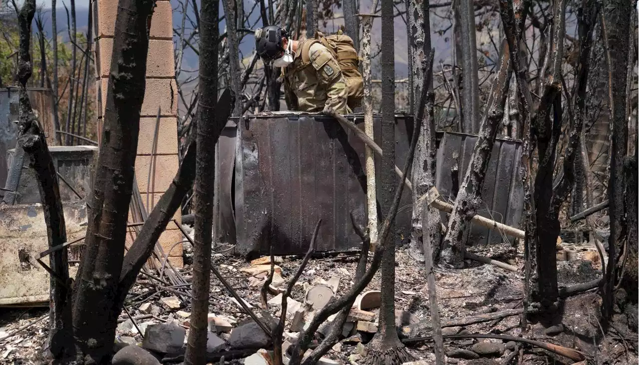 Van 67 fallecidos por los incendios en Hawái: el desastre más mortal en su historia