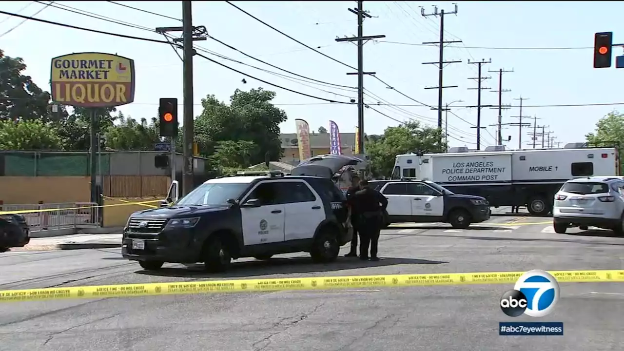 LAPD shoots, kills armed suspect during attempted auto burglary in South Los Angeles: Authorities