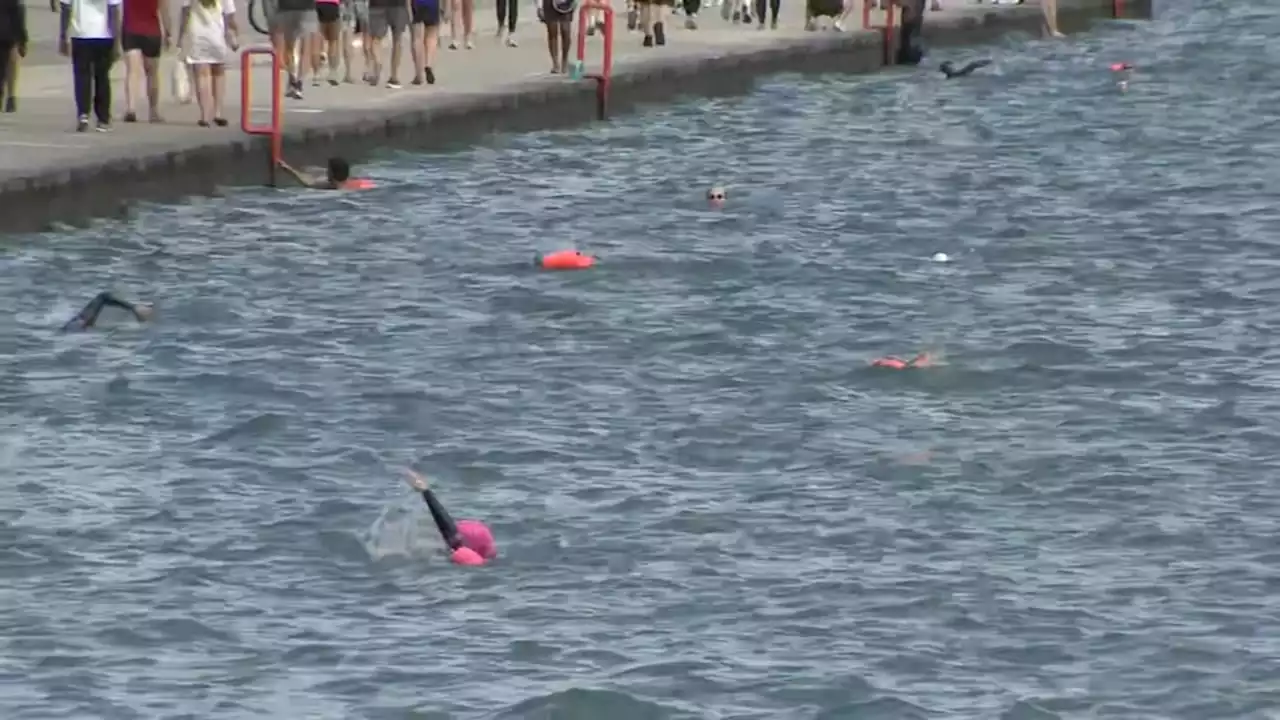 Swim Across America participants take on Lake Michigan waves for cancer research