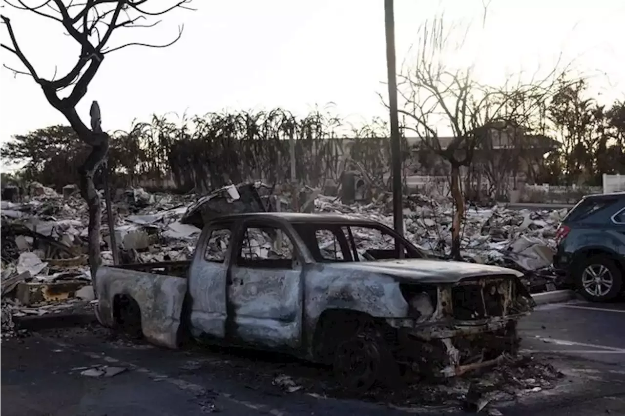 Kering Eyewear fa una donazione all'isola di Maui, dopo gli incendi che  hanno causato più di 100 vittime