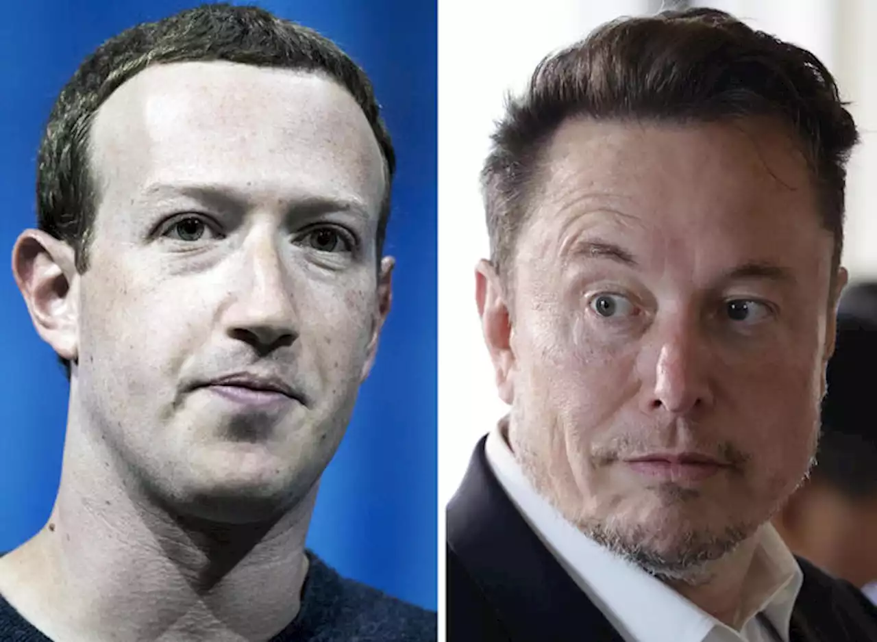 Musk-Zuckerberg, Mastella candida il Teatro Romano di Benevento - Notizie - Ansa.it