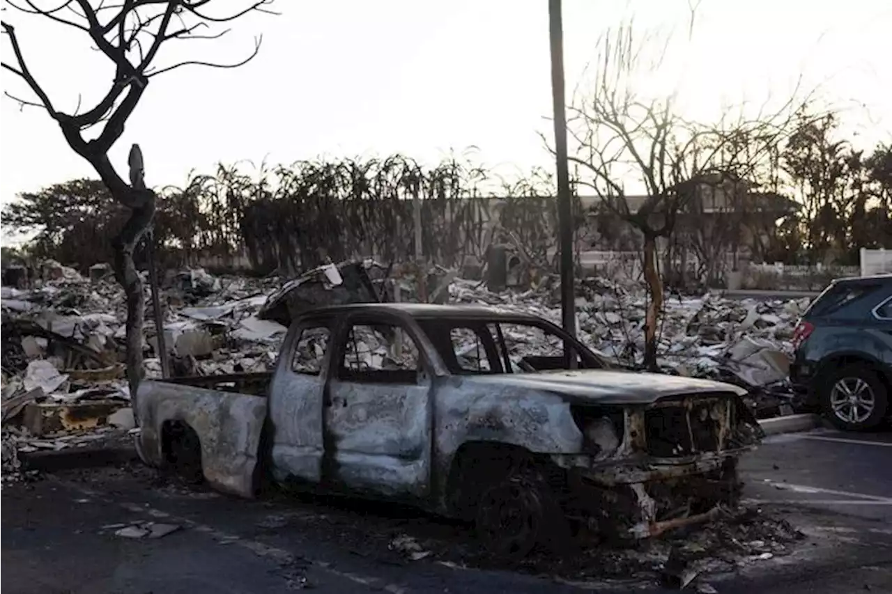 Quasi 100 morti alle Hawaii, il peggior incendio negli Usa dal 1918 - Nord America - Ansa.it