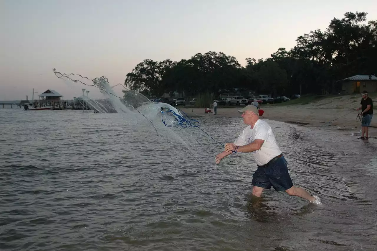 When there’s a jubilee in Mobile Bay, seafood harvest regulations still apply