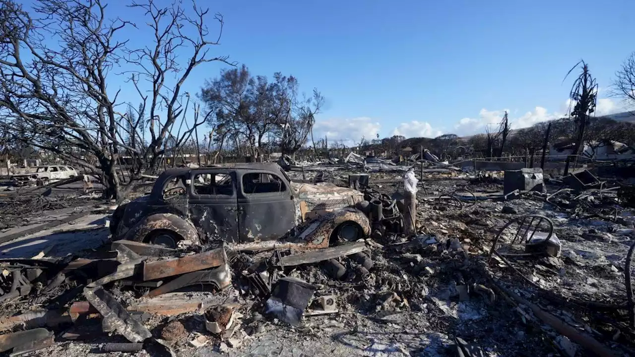 Hätten die Todesopfer auf Maui verhindert werden können?