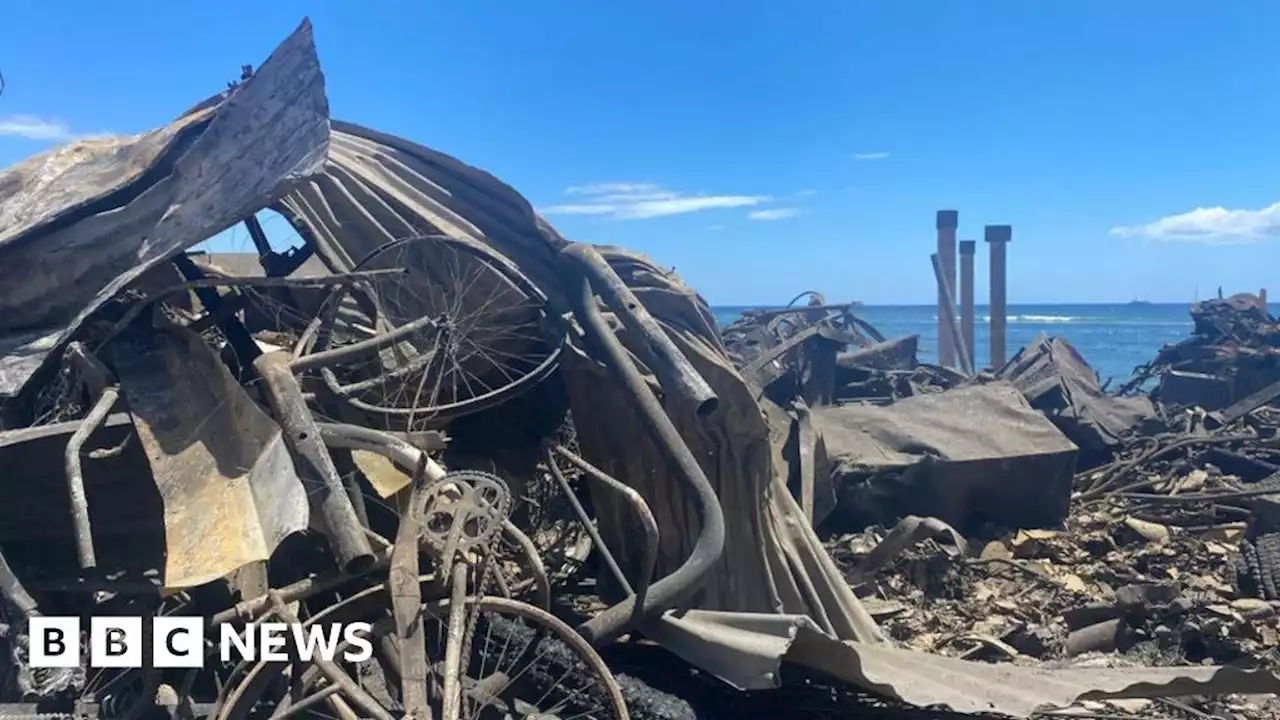 Maui fire: Search for victims intensifies after 80 deaths