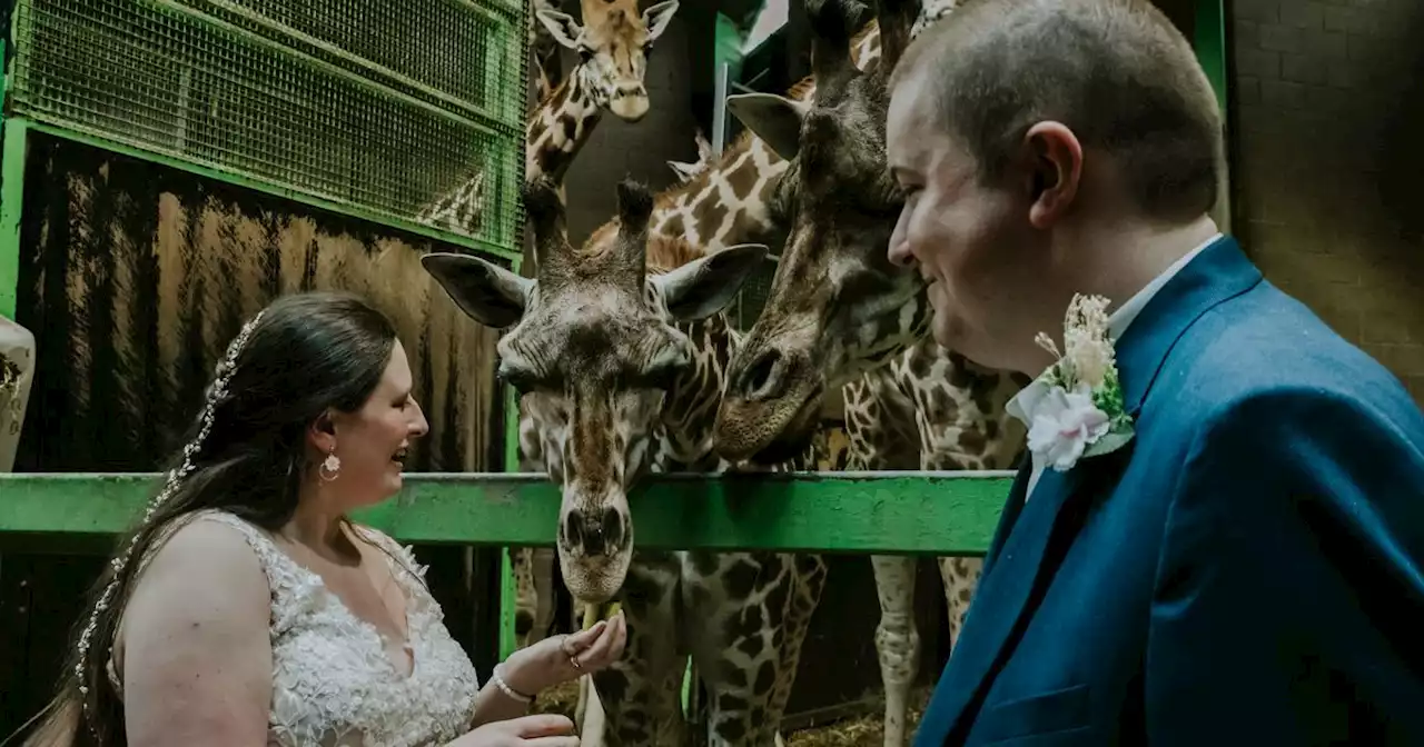 Inside first wedding reception held at Belfast Zoo