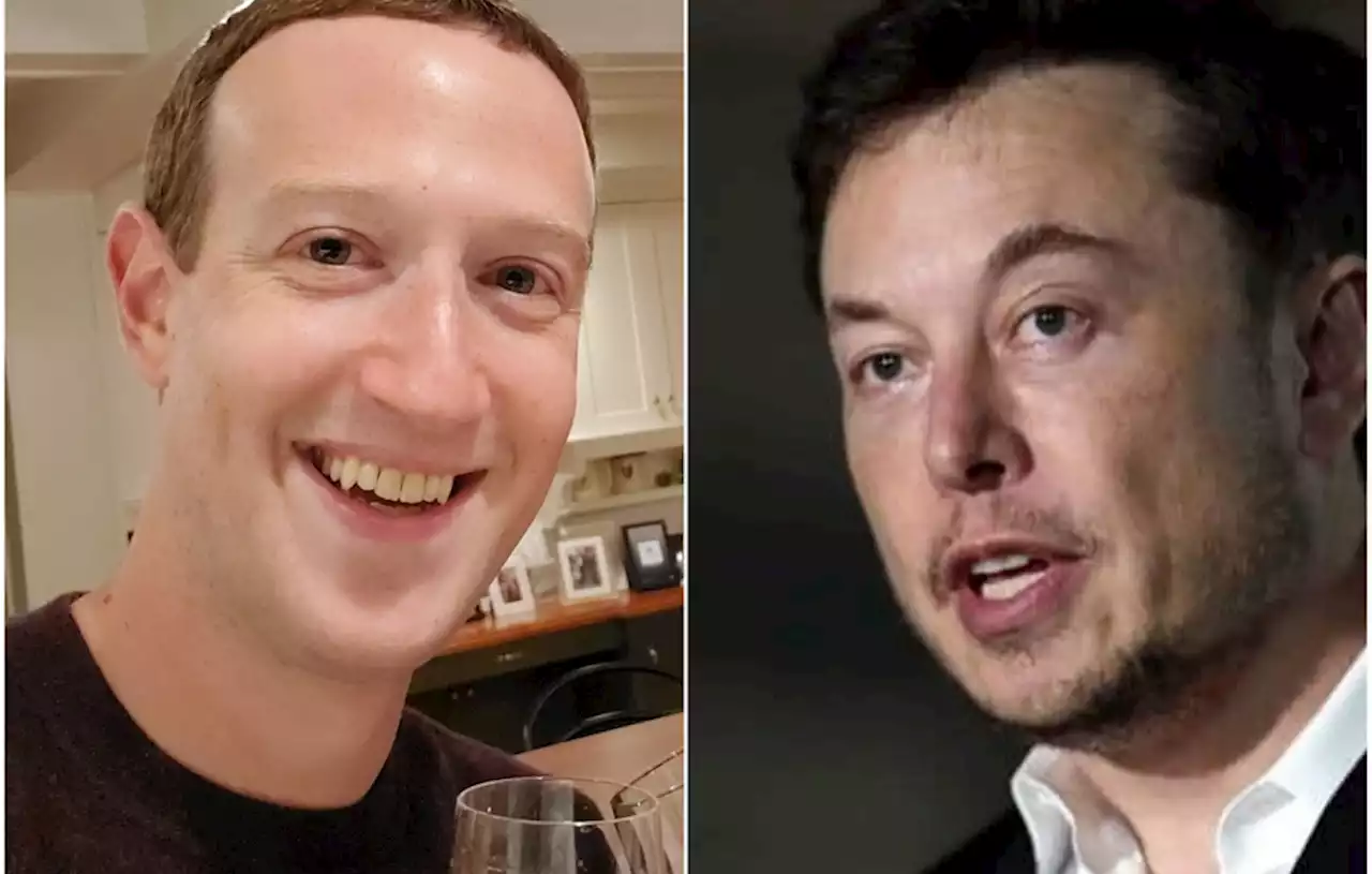 Elon Musk Tunjuk Italia Jadi Lokasi Duel Lawan Mark Zuckerberg