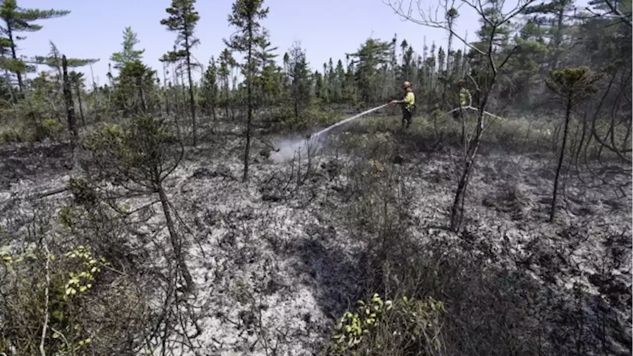 Nova Scotia fishermen on the hook for gear destroyed by historic wildfires - BNN Bloomberg