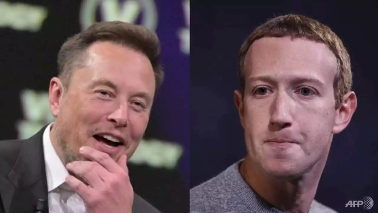 Musk says cage fight with Zuckerberg will be in Italy