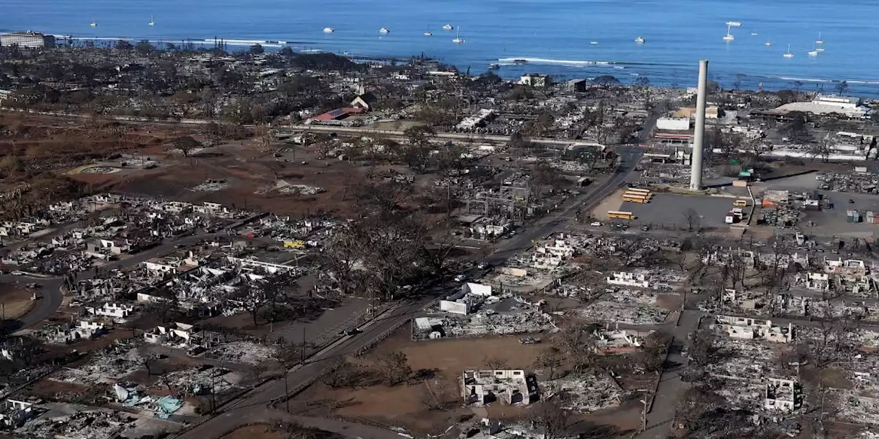 Video | ¿Qué se sabe sobre los incendios que arrasan Hawaii?