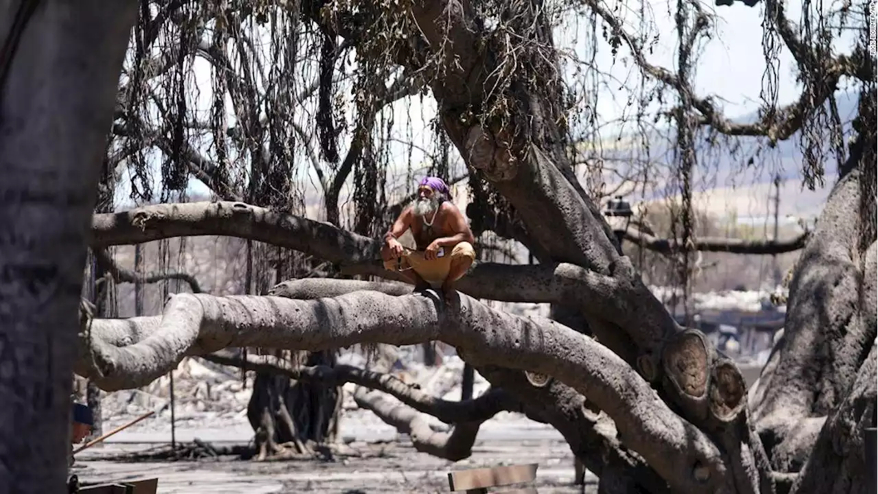 Maui wildfires live updates: Death toll rises, Lahaina fire 85% contained