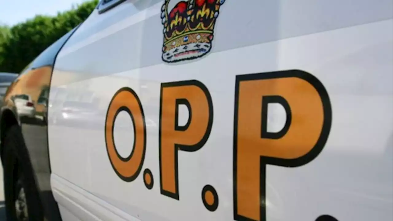 Scarborough man, 25, drowns in Lake Ontario: OPP