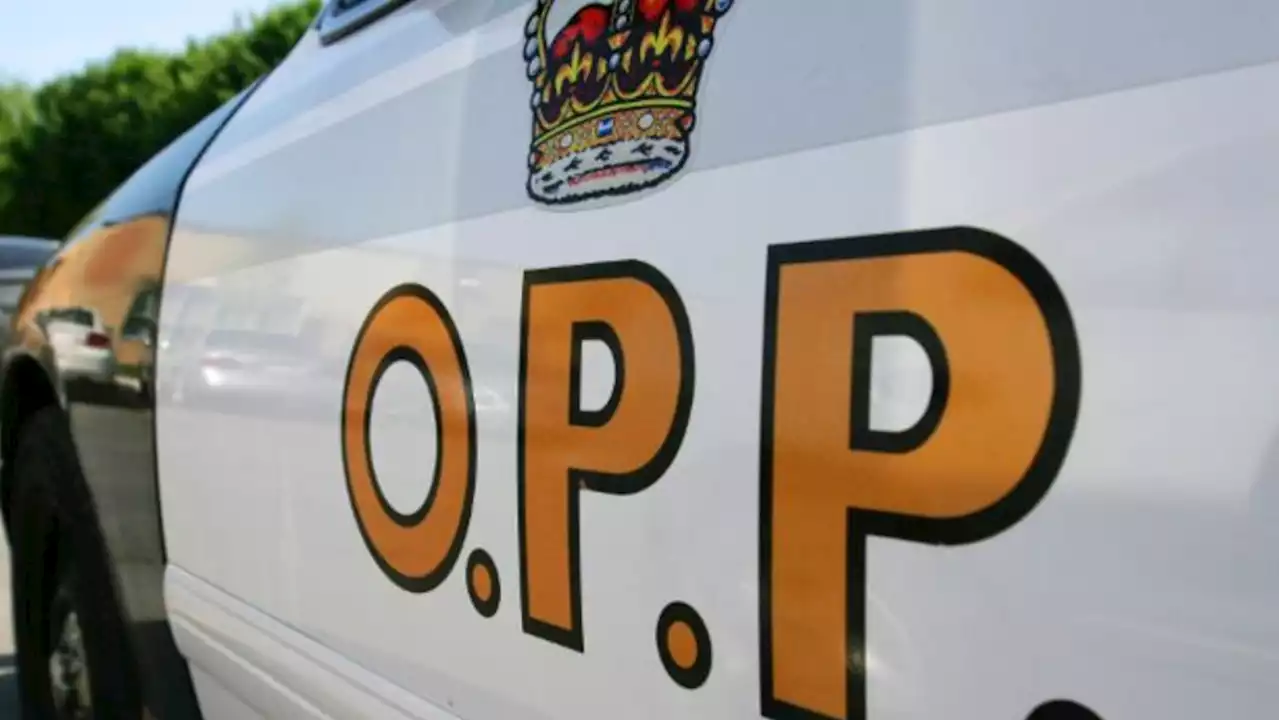 Man, 25, drowns in Lake Ontario: OPP