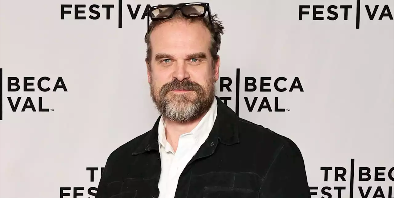 Stranger Things star David Harbour shares career plans after final series