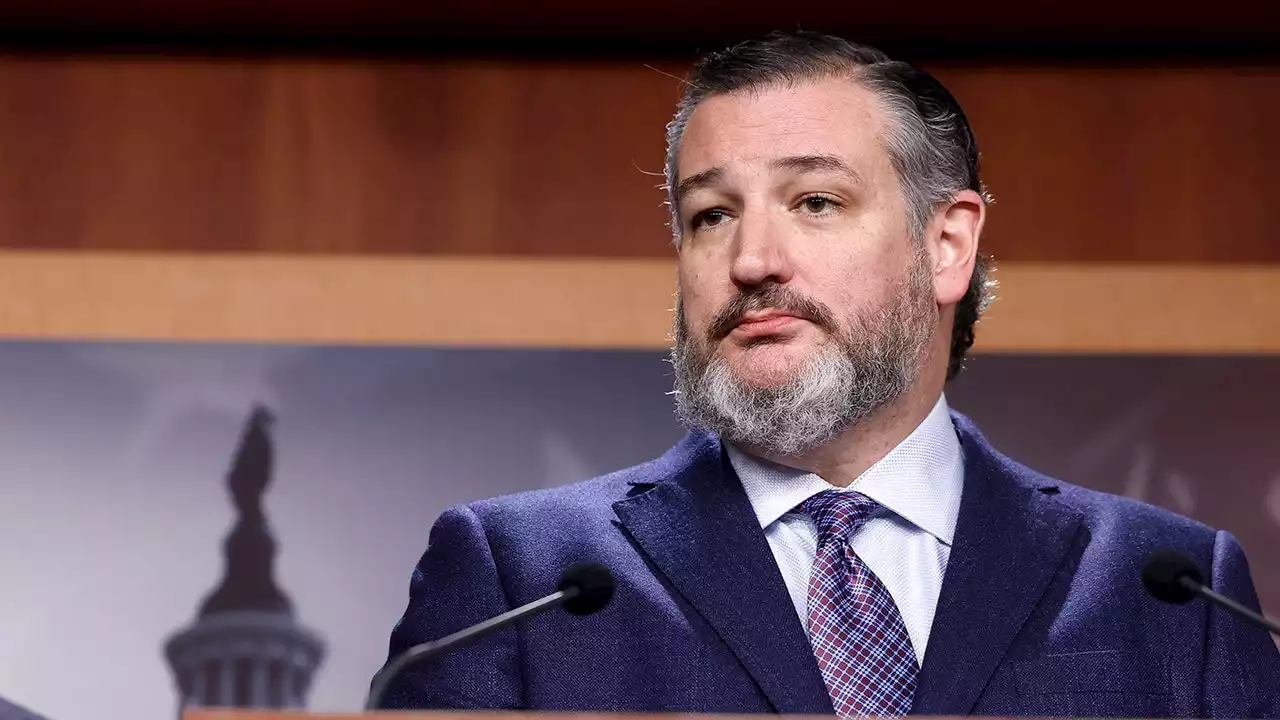 Ted Cruz blasts 'disgraceful' David Weiss special counsel appointment in Biden probe: It's 'camouflage'