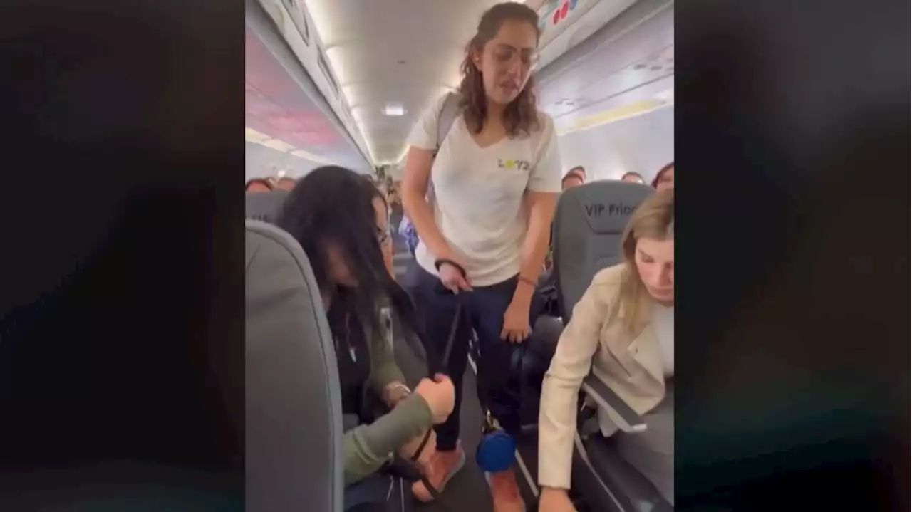 La sorprendente reacción de los pasajeros de un vuelo: las azafatas echaron a una joven del avión por llevar a su perro sin bozal