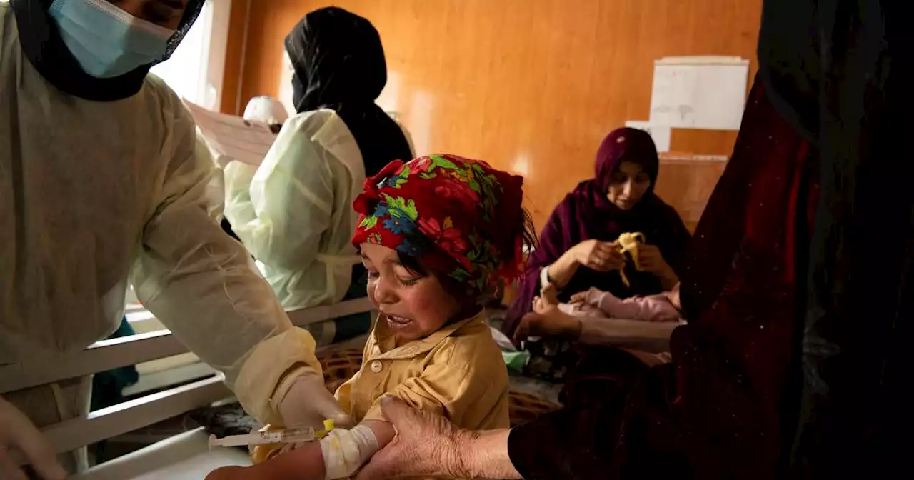 ‘Staying at home and doing nothing is like gradually dying’: Shut out of jobs, Afghan women retrain as nurses